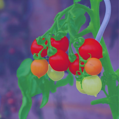 AGRICULTURE