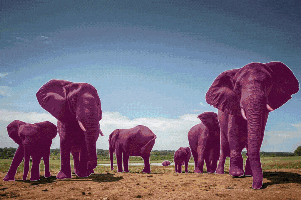 Appalux Global Gif (1) Appalux Global Image Annotation